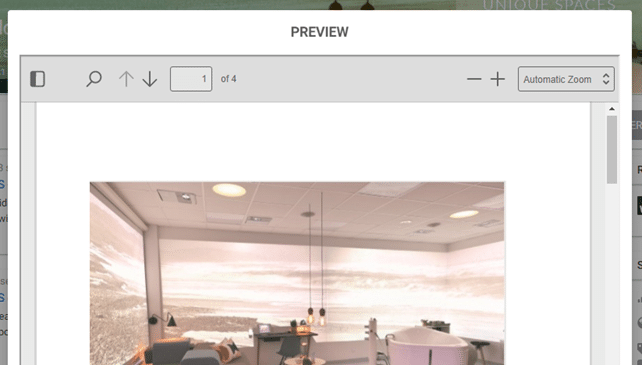 Preview with download disabled