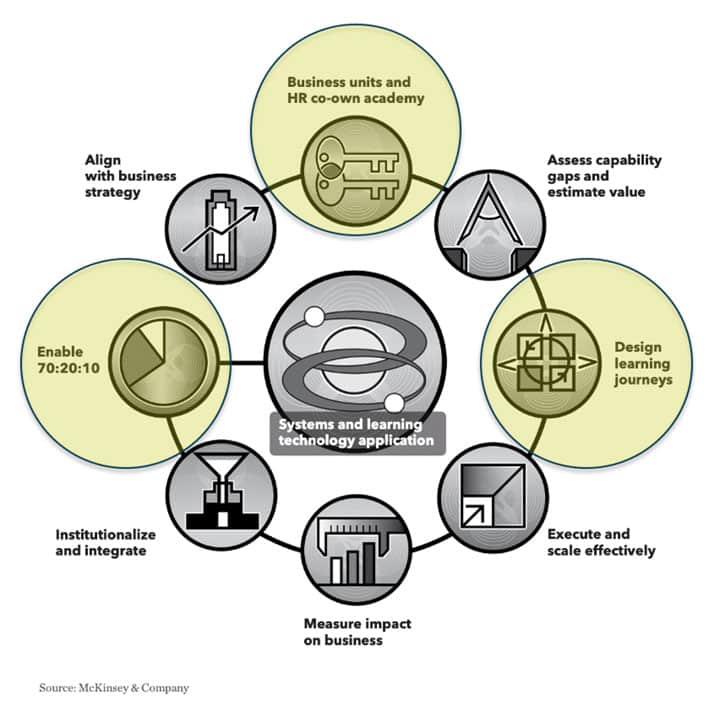 McKinsey & Company – Systems and learning technology application