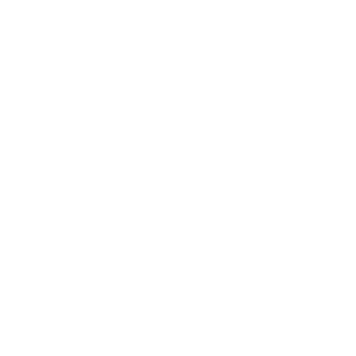 video_icon